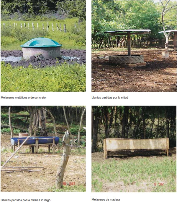Guía de suplementación alimenticia estratégica para bovinos en época seca - Image 72