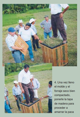 Guía de suplementación alimenticia estratégica para bovinos en época seca - Image 52