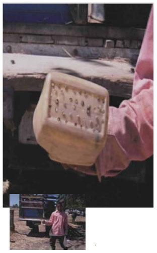 Guía de suplementación alimenticia estratégica para bovinos en época seca - Image 87
