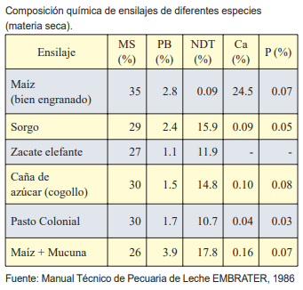 Guía de suplementación alimenticia estratégica para bovinos en época seca - Image 3