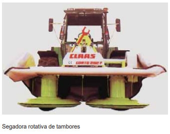 Guía de suplementación alimenticia estratégica para bovinos en época seca - Image 44