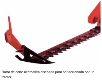 Guía de suplementación alimenticia estratégica para bovinos en época seca - Image 43