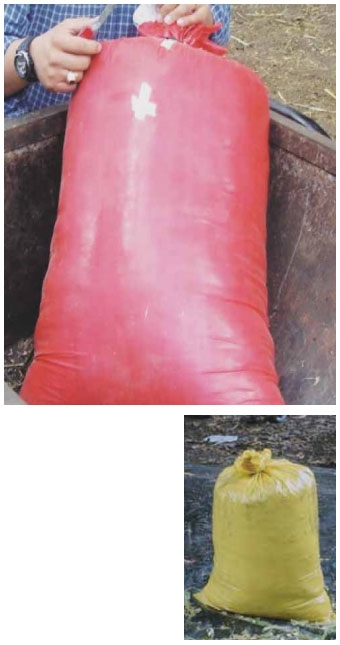 Guía de suplementación alimenticia estratégica para bovinos en época seca - Image 36
