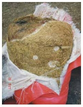 Guía de suplementación alimenticia estratégica para bovinos en época seca - Image 37