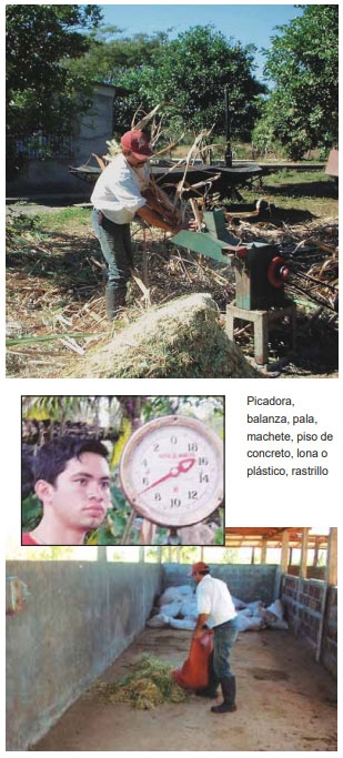 Guía de suplementación alimenticia estratégica para bovinos en época seca - Image 64