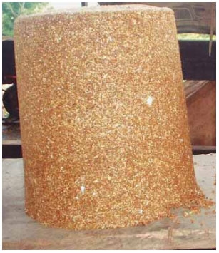 Guía de suplementación alimenticia estratégica para bovinos en época seca - Image 83
