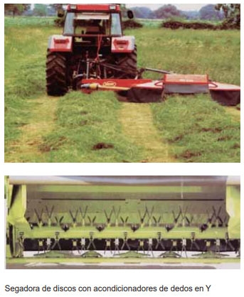 Guía de suplementación alimenticia estratégica para bovinos en época seca - Image 48