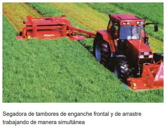 Guía de suplementación alimenticia estratégica para bovinos en época seca - Image 46
