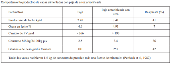 Guía de suplementación alimenticia estratégica para bovinos en época seca - Image 93