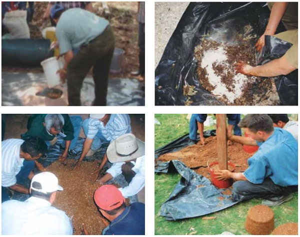 Guía de suplementación alimenticia estratégica para bovinos en época seca - Image 82