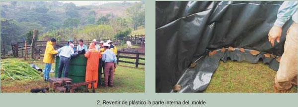 Guía de suplementación alimenticia estratégica para bovinos en época seca - Image 18