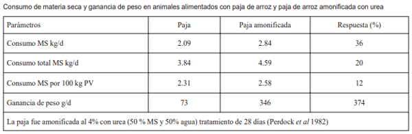 Guía de suplementación alimenticia estratégica para bovinos en época seca - Image 94