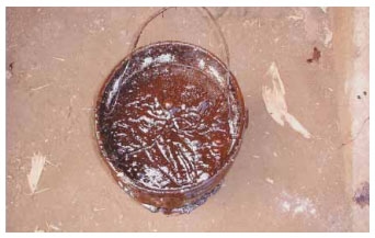 Guía de suplementación alimenticia estratégica para bovinos en época seca - Image 68