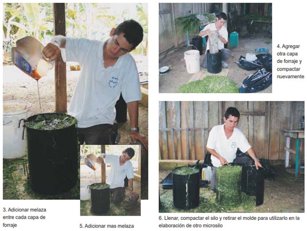 Guía de suplementación alimenticia estratégica para bovinos en época seca - Image 41