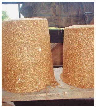 Guía de suplementación alimenticia estratégica para bovinos en época seca - Image 73