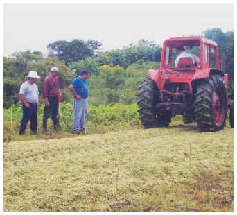 Guía de suplementación alimenticia estratégica para bovinos en época seca - Image 12