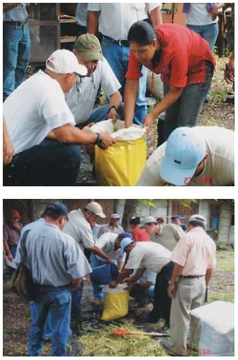 Guía de suplementación alimenticia estratégica para bovinos en época seca - Image 35