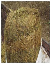 Guía de suplementación alimenticia estratégica para bovinos en época seca - Image 38