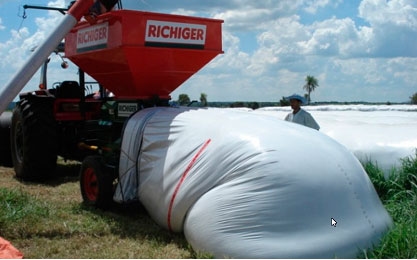 Silaje de grano húmedo: todo lo que debe tener en cuenta para su confección, manejo y aprovechamiento - Image 1