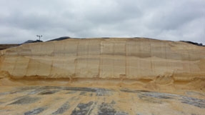 Silaje de grano húmedo: todo lo que debe tener en cuenta para su confección, manejo y aprovechamiento - Image 6