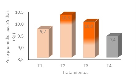 Invertir en la iniciación (recría) para ganar en la fase de finalización - Image 2