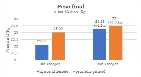 Invertir en la iniciación (recría) para ganar en la fase de finalización - Image 1