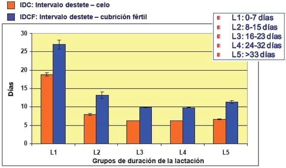 Causas de Anoestro y Celos débiles en la Hembra Porcina - Image 6