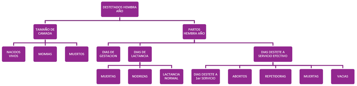 El árbol de la productividad en granjas porcinas - Image 1