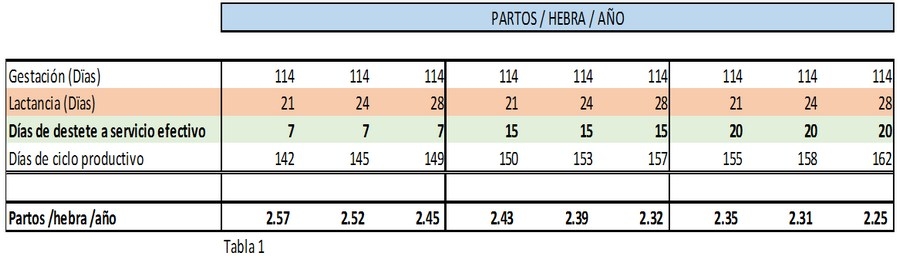 El árbol de la productividad en granjas porcinas - Image 3