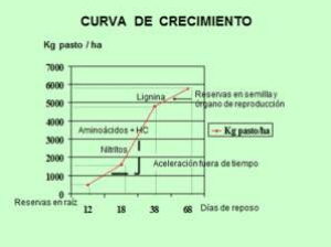 El sistema de pastoreo racional se basa en la administración de los recursos de la producción para optimizar los resultados del agronegocio ganadero pastoril - Image 1