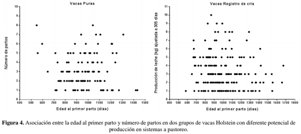 Edad al primer parto e indicadores de eficiencia en vacas lecheras con diferente potencialidad productividad en sistemas a pastoreo - Image 9