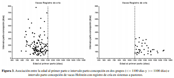 Edad al primer parto e indicadores de eficiencia en vacas lecheras con diferente potencialidad productividad en sistemas a pastoreo - Image 8