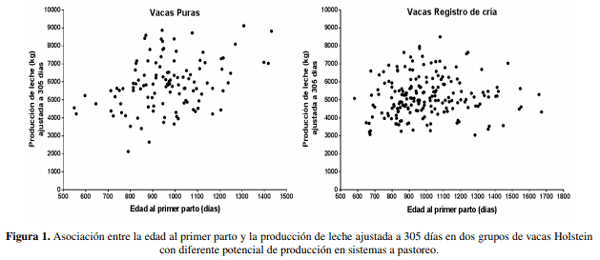 Edad al primer parto e indicadores de eficiencia en vacas lecheras con diferente potencialidad productividad en sistemas a pastoreo - Image 6
