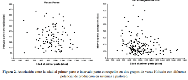 Edad al primer parto e indicadores de eficiencia en vacas lecheras con diferente potencialidad productividad en sistemas a pastoreo - Image 7