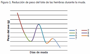 Efecto de la muda forzada en reproductoras ligeras sobre el Porcentaje de producción y viabilidad embrionaria - Image 1
