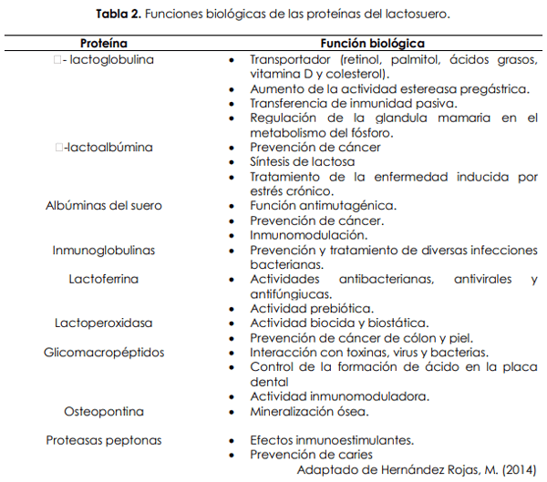Más usos para el lactosuero - Image 5