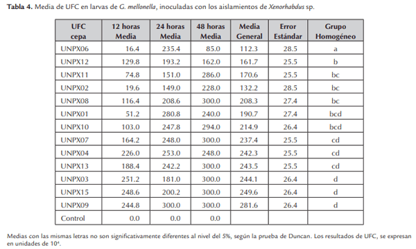 Evaluación de la patogenicidad de Xenorhabdus spp. nativos en Colombia - Image 6