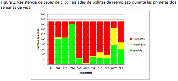 Resistencia antimicrobiana de cepas apec (avian pathogenic escherichia Coli) provenientes de aves de postura hyline w36 de 1 a 10 días de edad - Image 1