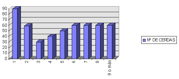 Estructura censual - Image 5