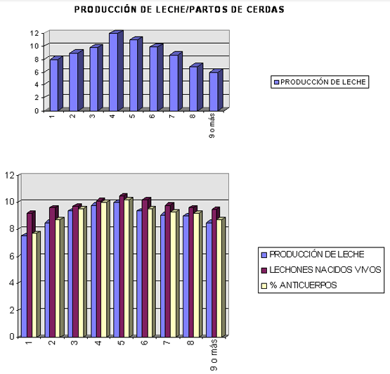 Estructura censual - Image 2