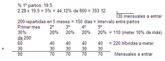 Estructura censual - Image 13