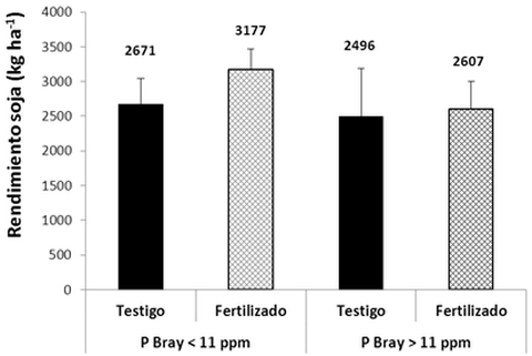 Fertilización del cultivo de soja - Image 2