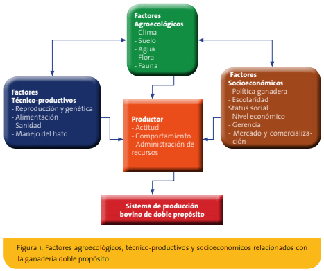 La ganadería doble propósito desde una visión agroecosistémica - Image 4
