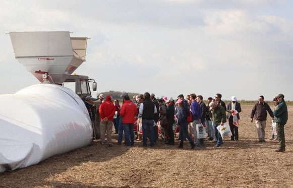 Poscosecha de granos en silo bolsa. Guía de recomendaciones - Image 1