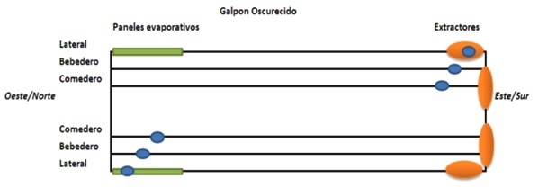 Impacto de la cama de pollo sobre la calidad de las garras en galpones de crianza de aves con diferentes tecnologías - Image 5