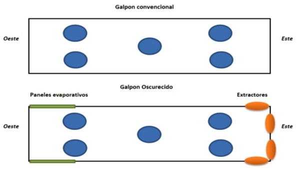 Impacto de la cama de pollo sobre la calidad de las garras en galpones de crianza de aves con diferentes tecnologías - Image 1