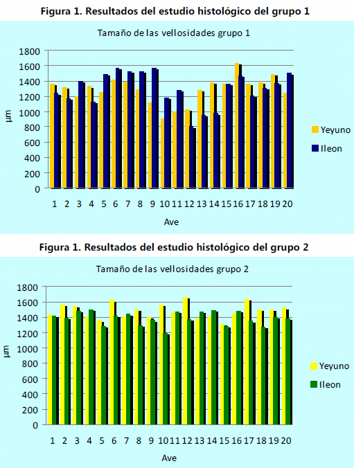 Longitud de las vellosidades intestinales y cantidad de clostridium perfringens en pollos de engorda de 6 semanas de edad aparentemente sanos - Image 2