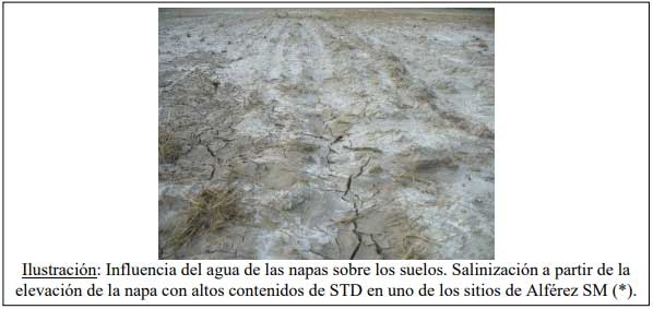 Evaluación de la calidad de agua en la red intergrupal de extensión de los partidos de Bahía Blanca y Cnel. Rosales para el ajuste a sus diversos usos dentro de los establecimientos - Image 18