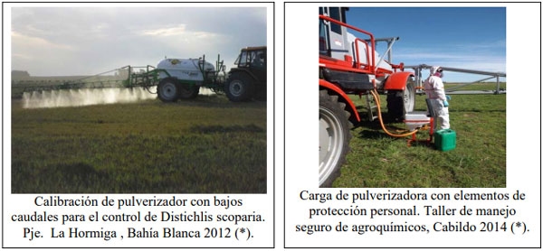 Evaluación de la calidad de agua en la red intergrupal de extensión de los partidos de Bahía Blanca y Cnel. Rosales para el ajuste a sus diversos usos dentro de los establecimientos - Image 4