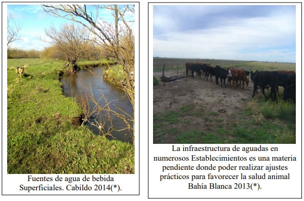 Evaluación de la calidad de agua en la red intergrupal de extensión de los partidos de Bahía Blanca y Cnel. Rosales para el ajuste a sus diversos usos dentro de los establecimientos - Image 14